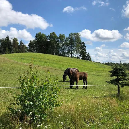 Eden Kaszuby Balia Sauna Alpaki Mini Zoo *