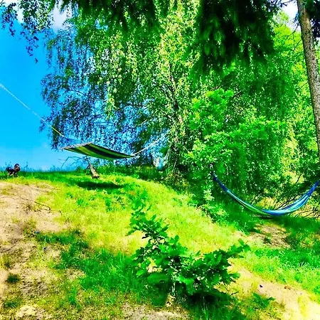 بيت للعطل Eden Kaszuby Balia Sauna Alpaki Mini Zoo غولوبي