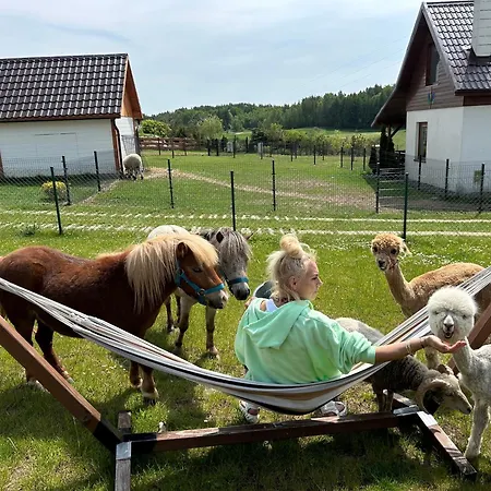 Eden Kaszuby Balia Sauna Alpaki Mini Zoo ゴウビエ