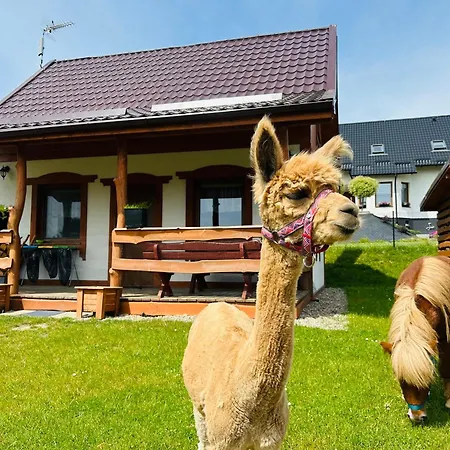 別荘 Eden Kaszuby Balia Sauna Alpaki Mini Zoo