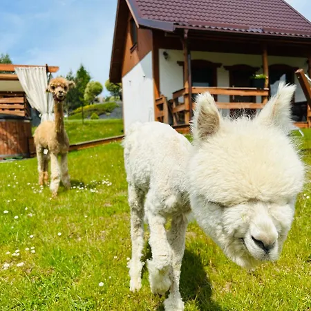Vakantiehuis Eden Z Ballia Golubie